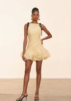 Laleh Ruffled Lace-Up Mini Dress In Yellow