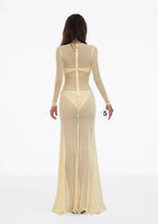Darcila Deep V Mesh Maxi Dress